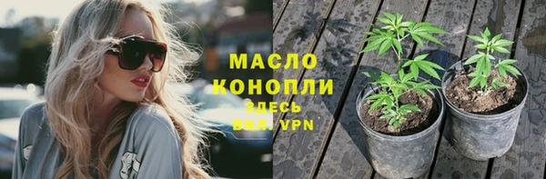 твердый Медногорск