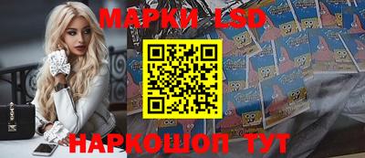 мдпв Кингисепп