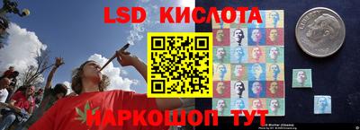 мдпв Кингисепп