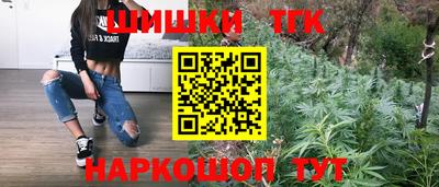 мдпв Кингисепп