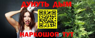 мдпв Кингисепп