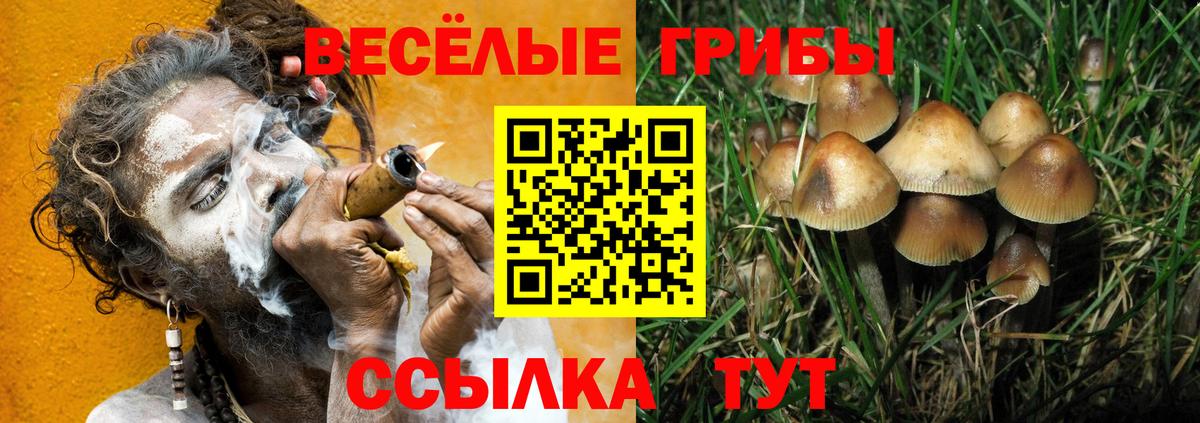 Псилоцибиновые грибы мухоморы Миллерово